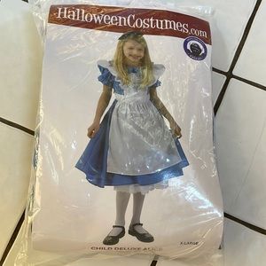 Girls deluxe Alice costume size x-large